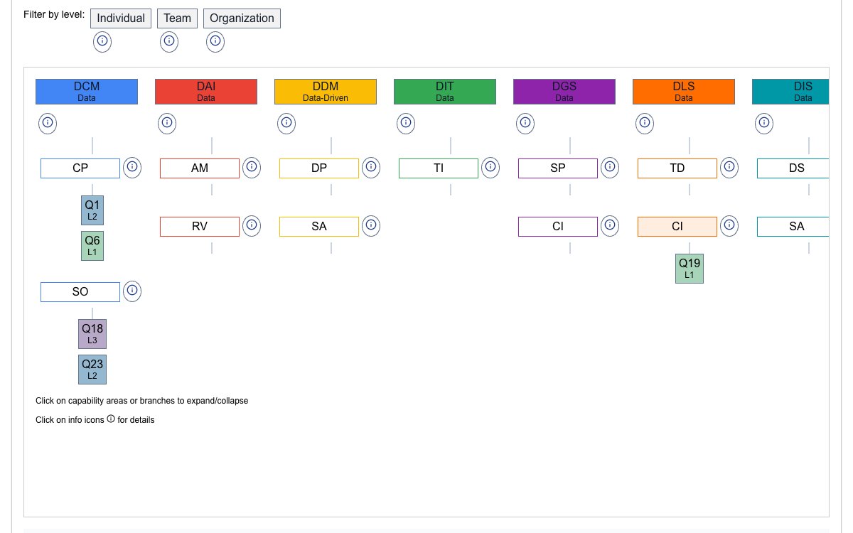 View of the discuss data maturity in context example